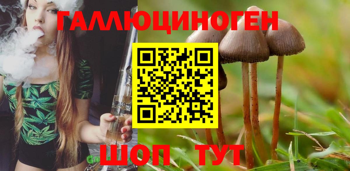 Нефтекамск  Псилоцибиновые грибы мицелий  Вход с VPN 