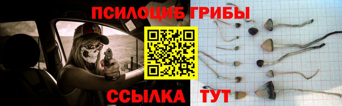 Псилоцибиновые грибы Cubensis Нефтекамск